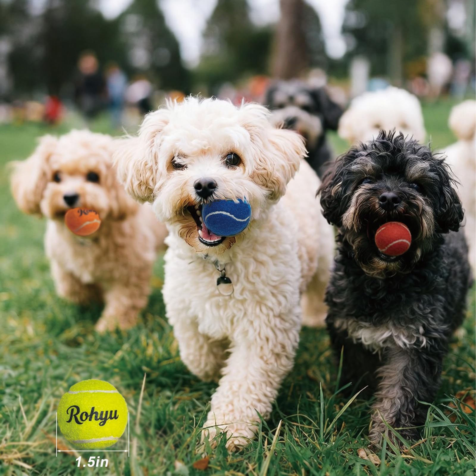 Rohyu pelota mini de goma suave para dientes sensibles