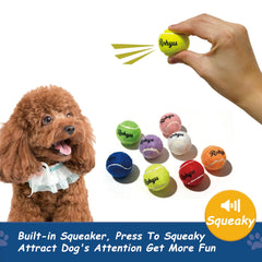Pelota Rohyu con chirrido para perros pequeños