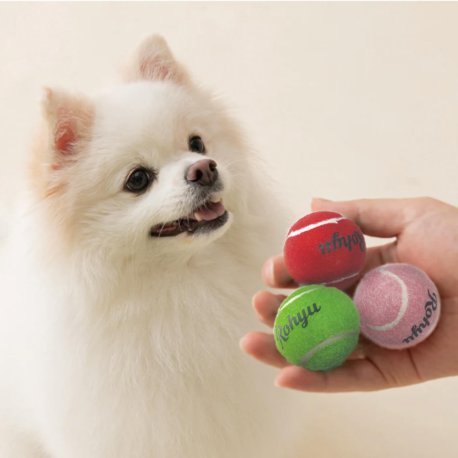 Tamaño perfecto para hocicos pequeños y perros miniatura