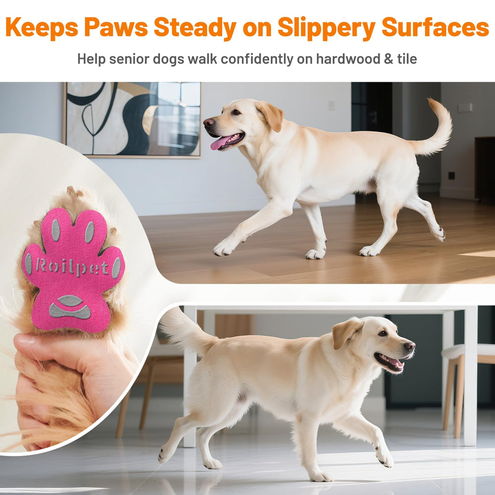 Roilpet: aplicación fácil en patas secas para protección inmediata.