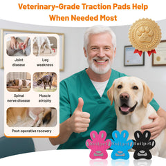 Roilpet: diseño ergonómico para patitas de perro con ajuste cómodo.