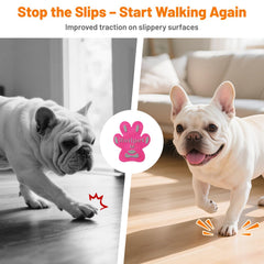 Roilpet: protecciones de patas desechables para paseos seguros.