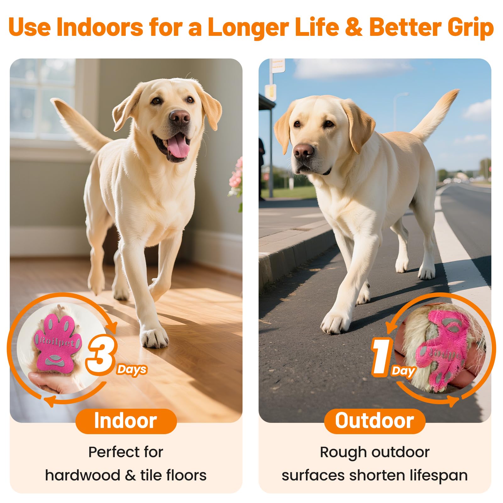 Roilpet multicolor, parches visibles que protegen patas mayores.