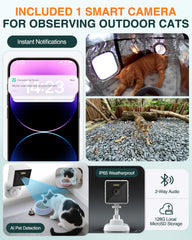 Rolimate camara-pet-monitor-2k permite vigilar y grabar a tus gatos con claridad.