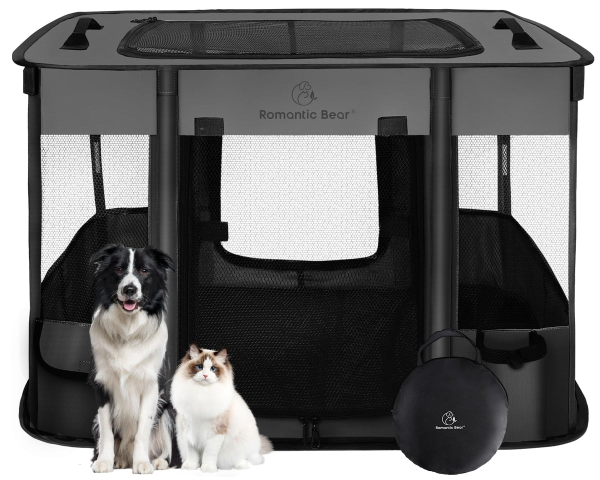 Romantic Bear jaula plegable para perros, espacio seguro en casa.