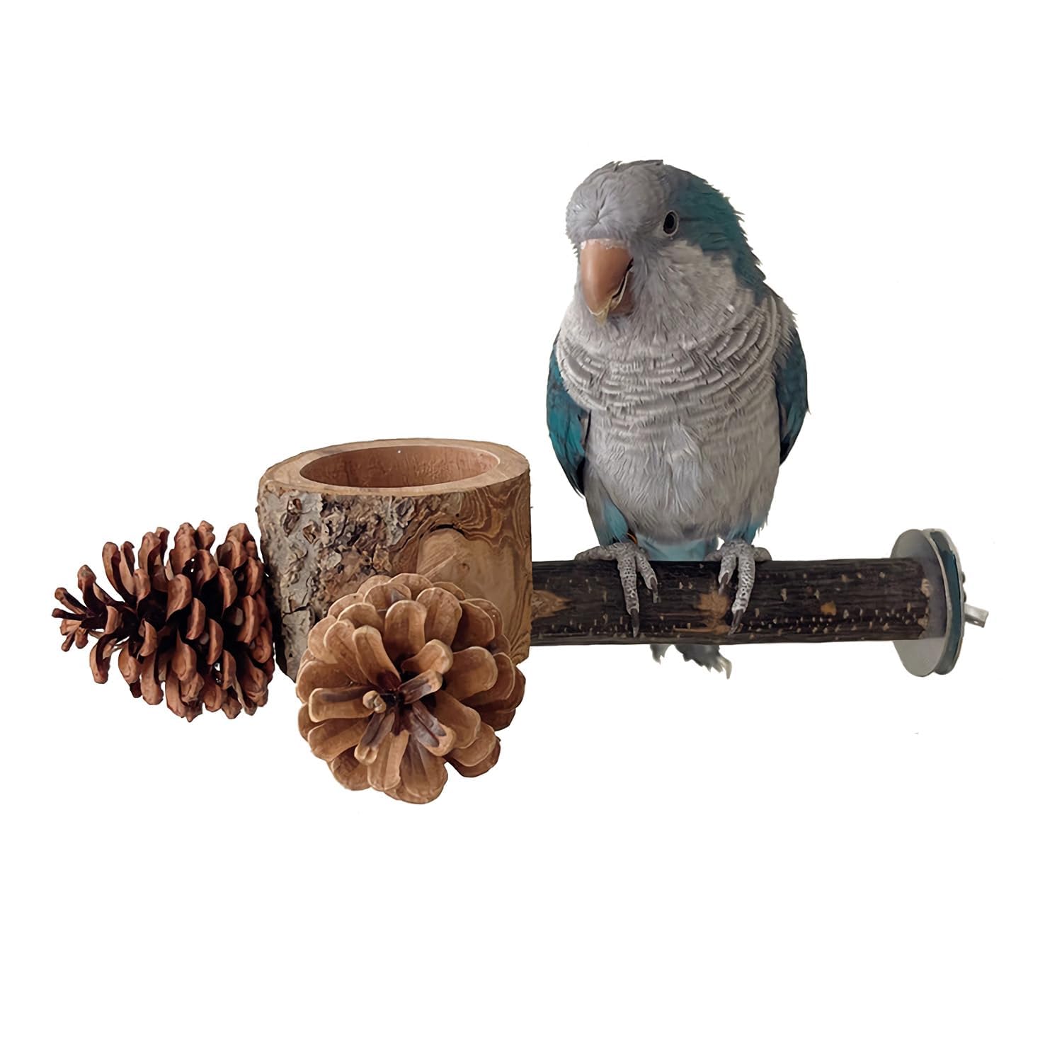 ROOJUNE percha para aves con conos de pino: estimula masticación y forrajeo.