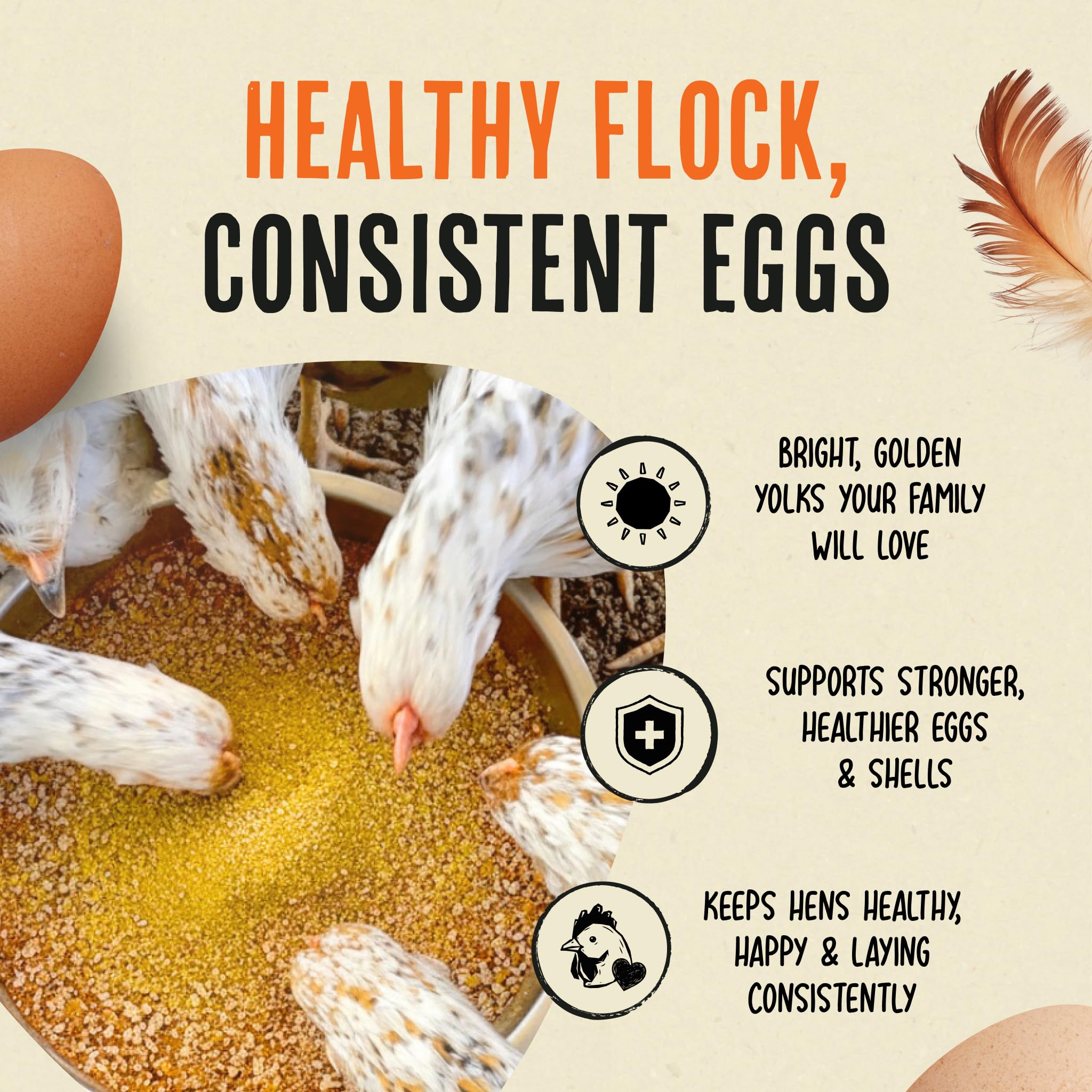Roosty's Gold Dust: ingredientes clave visibles para una alimentación avícola equilibrada