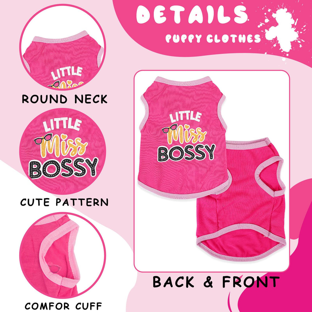 Conjunto ropa chihuahua, 4 prendas para perros pequeños en colores variados.