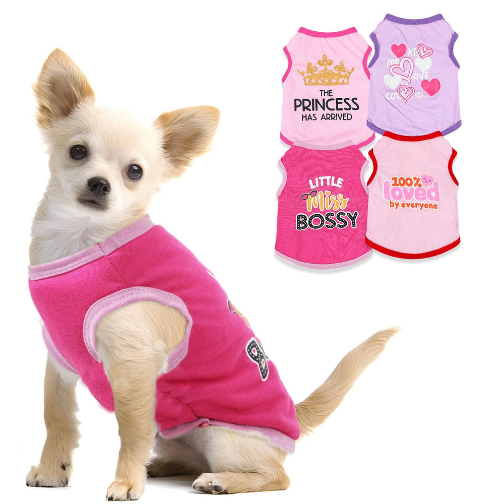 Conjunto ropa chihuahua XXS, ajuste cómodo y fácil de vestir.