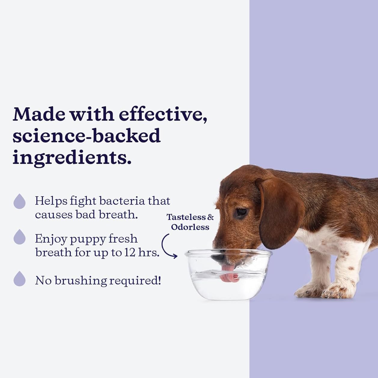 ROSEY'S PUPPY FRESH BREATH, cuidado de encías y higiene bucal diario.