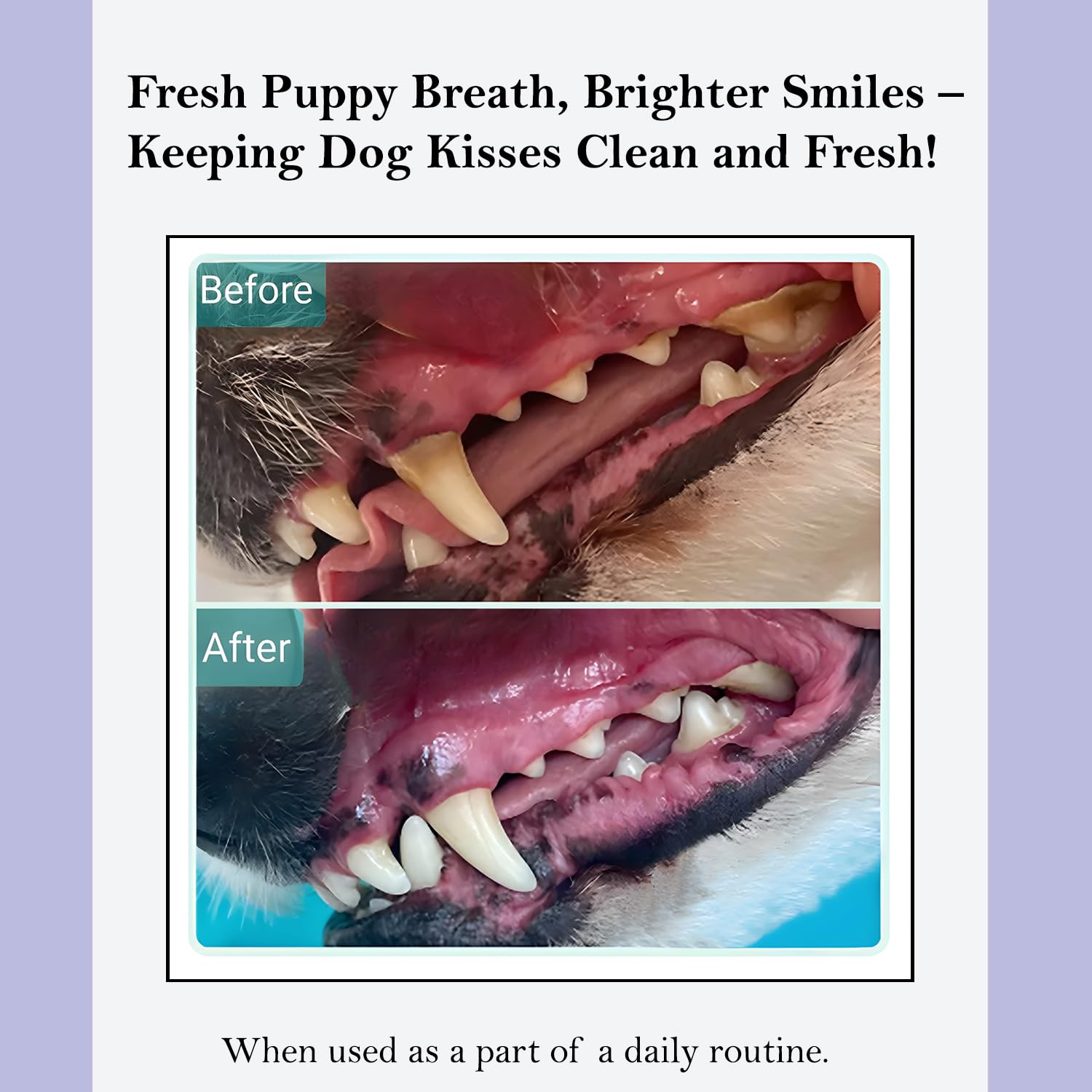 ROSEY'S PUPPY FRESH BREATH, uso diario en tazón, higiene bucal sin esfuerzo.