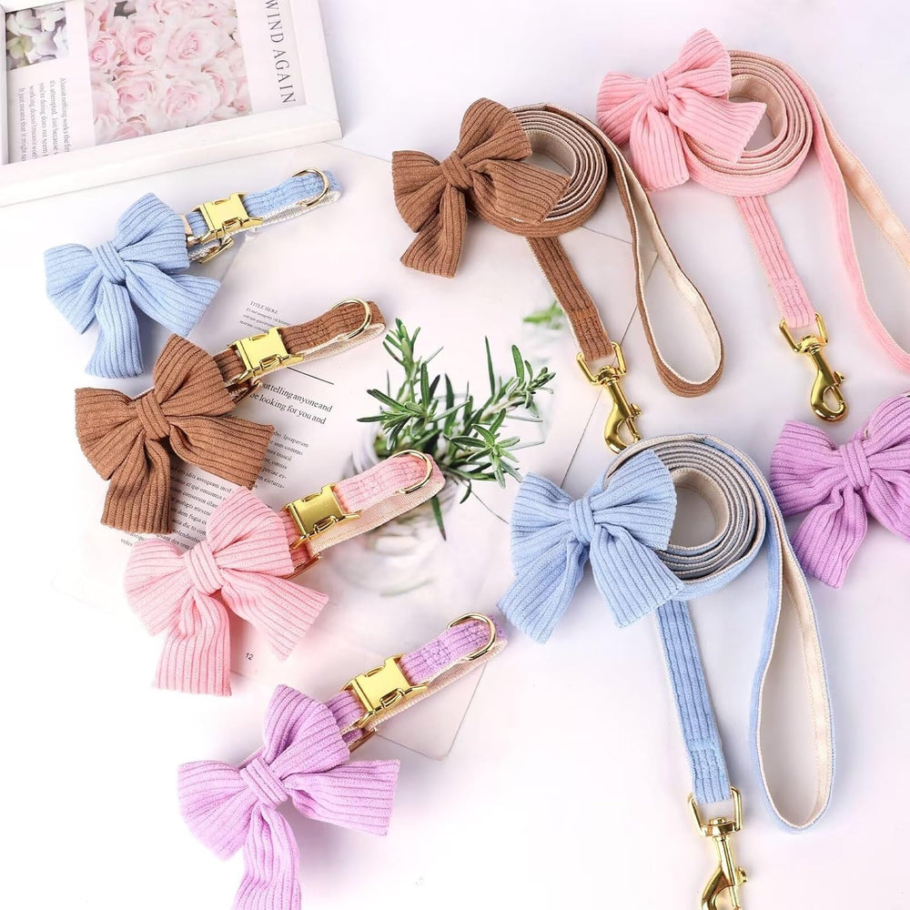 RoseYouth conjunto cómodo y con estilo para perros pequeños y medianos.