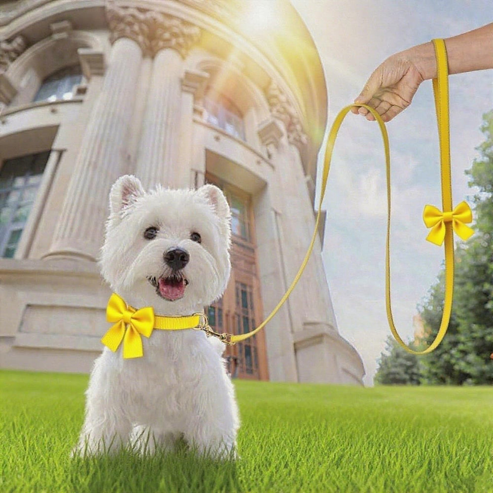 RoseYouth perfecto para paseos diarios de perros pequeños y medianos.