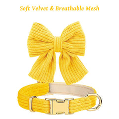 RoseYouth collar suave con malla transpirable para mayor confort diario.