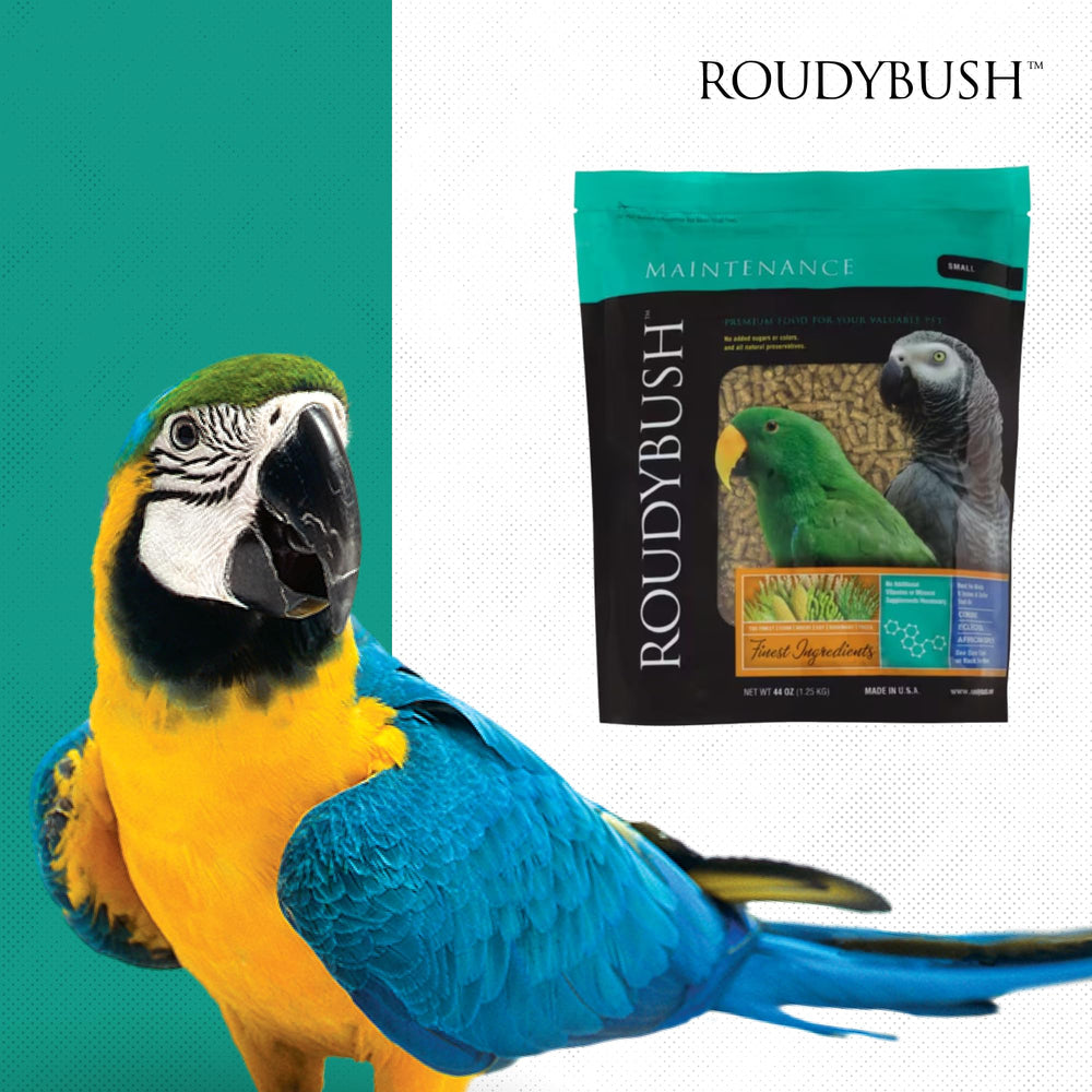 Roudybush Alimento Diario de Mantenimiento, uso diario práctico para aves pequeñas.