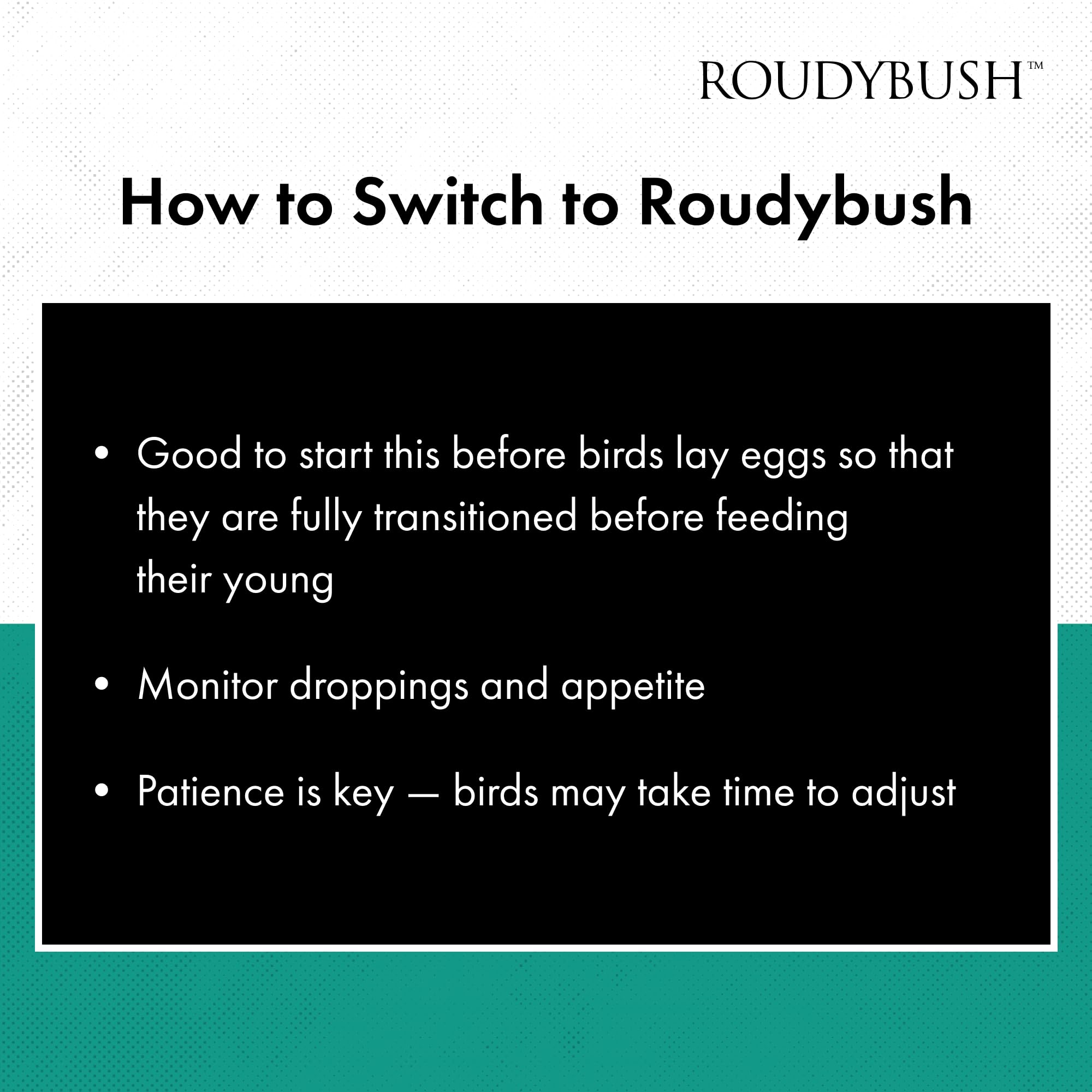 RoudyBush mezcla de alimentos, aporta variedad para aves medianas, sin azúcares ni colorantes