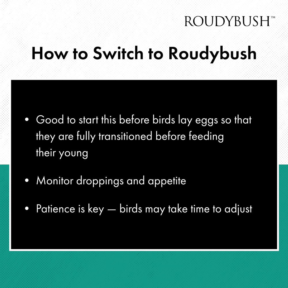 RoudyBush mezcla de alimentos, aporta variedad para aves medianas, sin azúcares ni colorantes