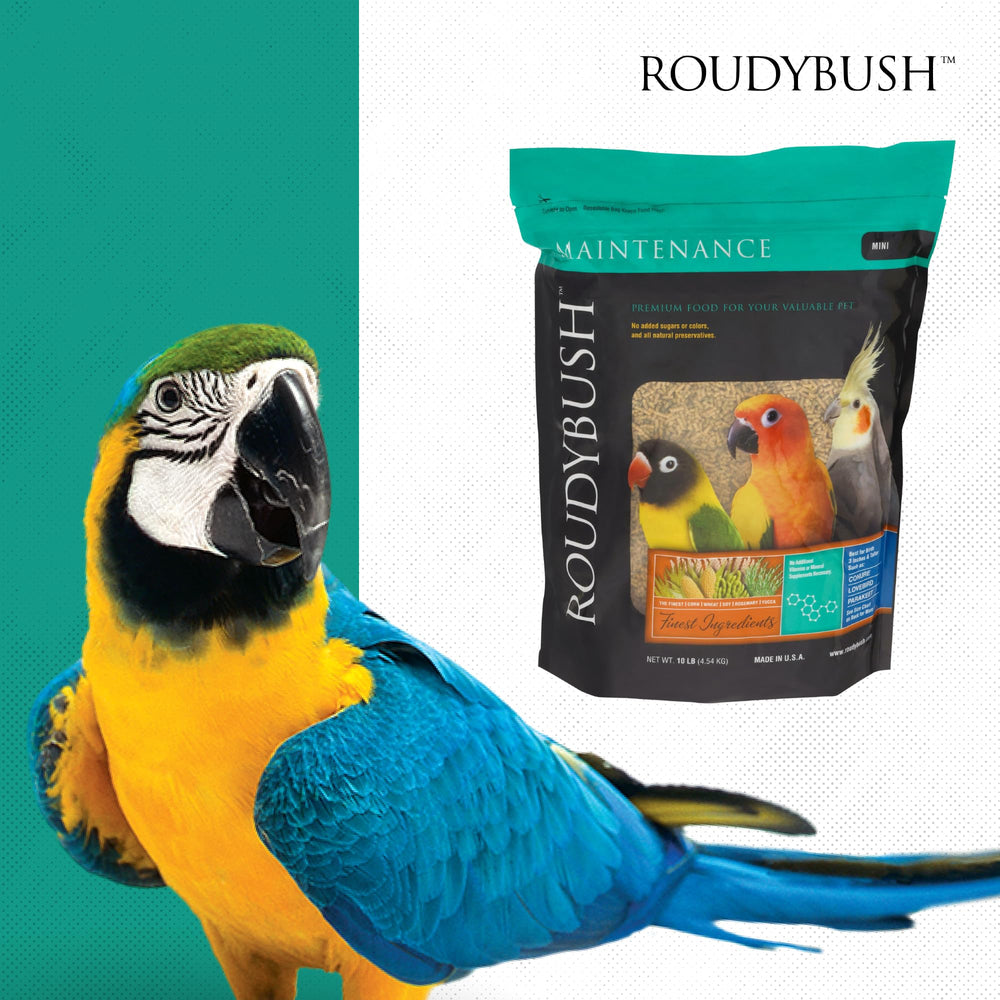 Roudybush Mantenimiento Diario, ritual diario de alimentación, conveniencia para dueños