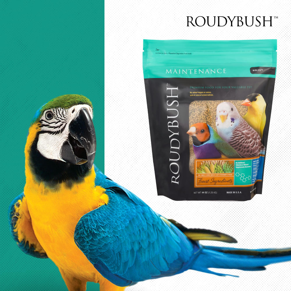 RoudyBush alimento diario mantenimiento aves, visual alimento-diario-mantenimiento-aves, contiene proteína y grasa adecuadas