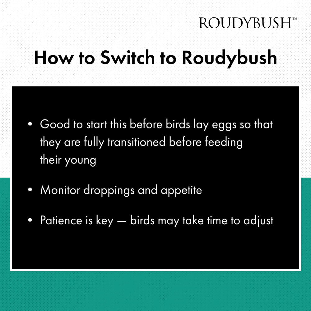 Roudybush California Blend envase de 1,25 kg, almacenamiento conveniente.