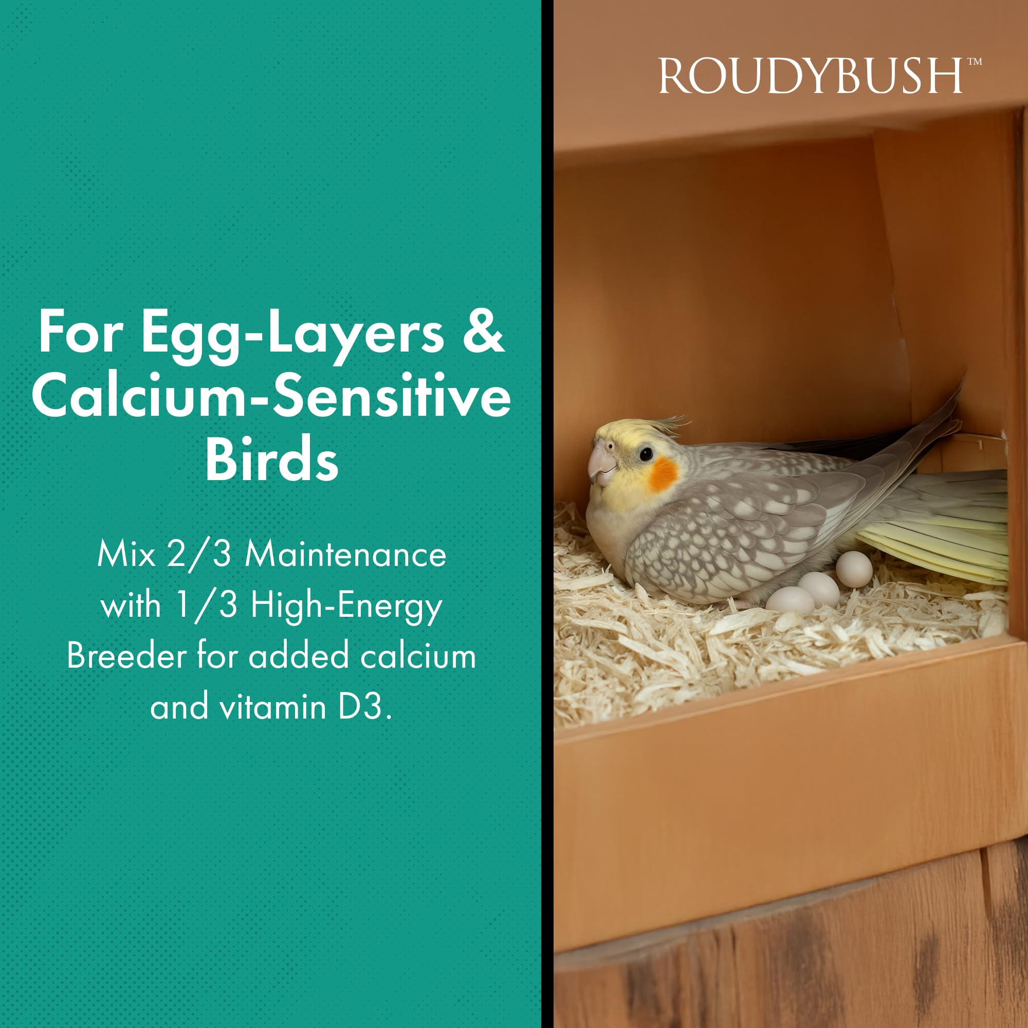 Roudybush California Blend pellets para transición de dieta, cambio suave para aves.
