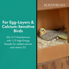 Roudybush California Blend pellets para transición de dieta, cambio suave para aves.
