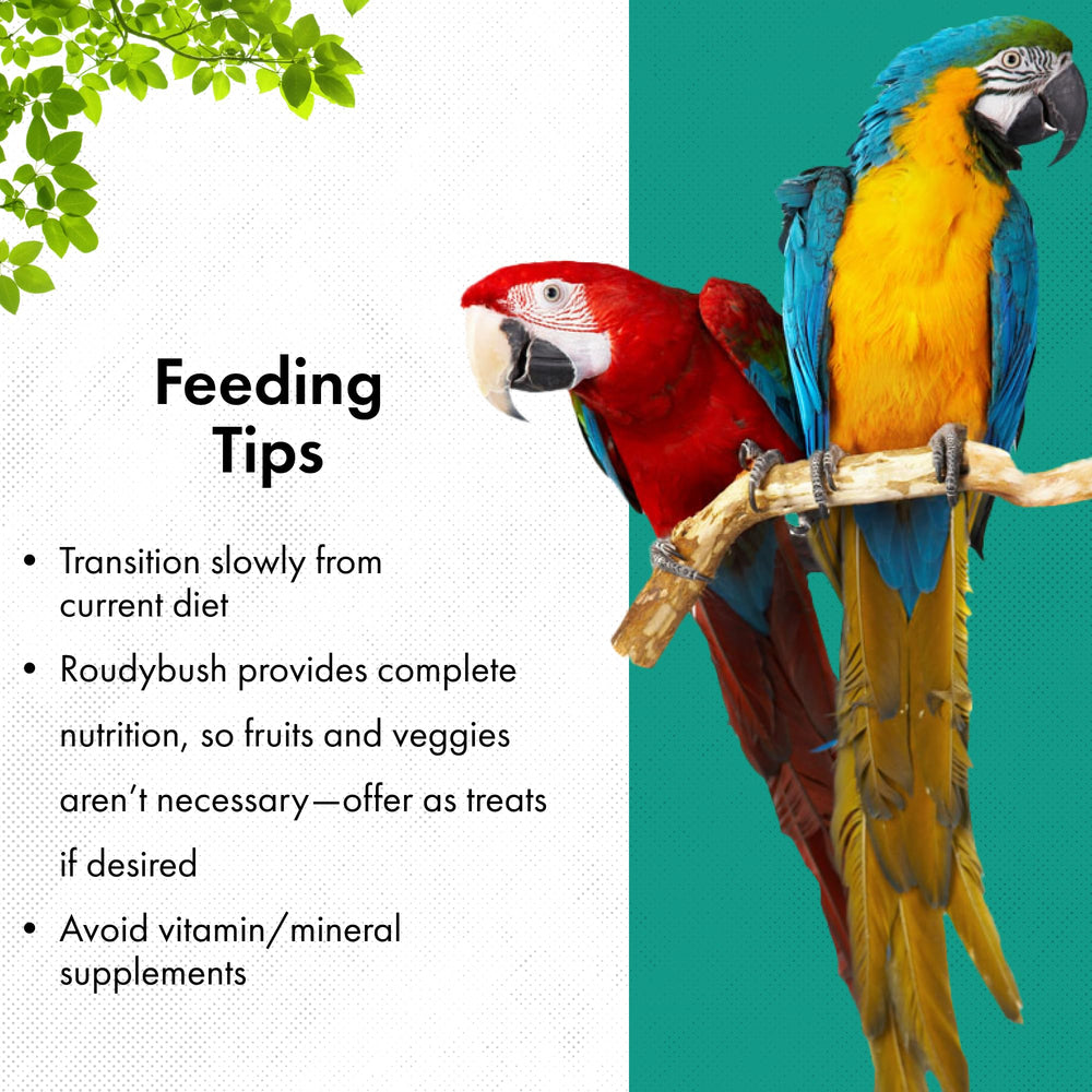 Roudybush California Blend dieta pelletizada reduce desperdicio alimentario.