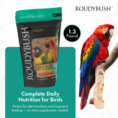 RoudyBush pellets en primer plano para aves pequeñas