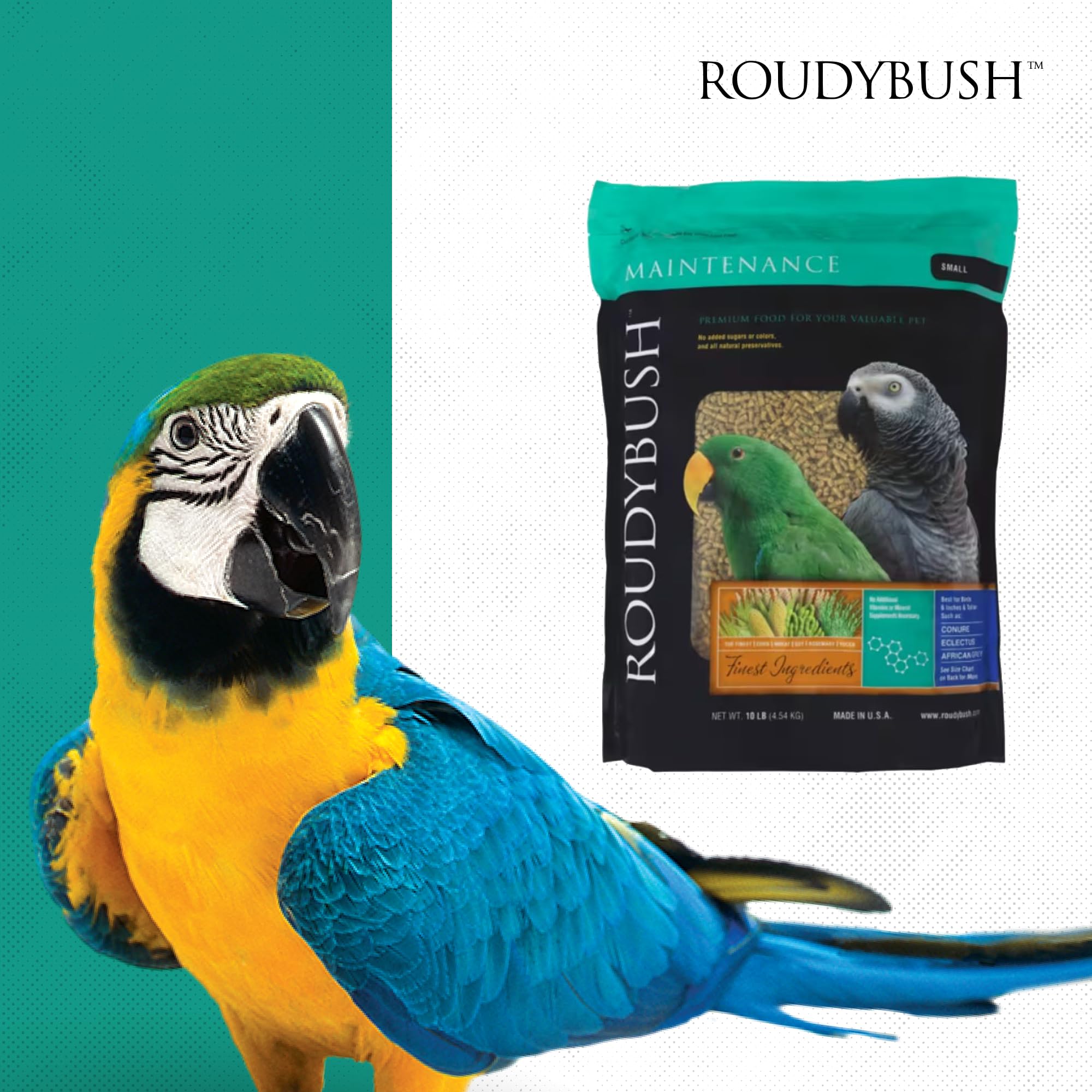 Roudybush dieta estructurada para aves pequeñas, hábitos alimenticios.