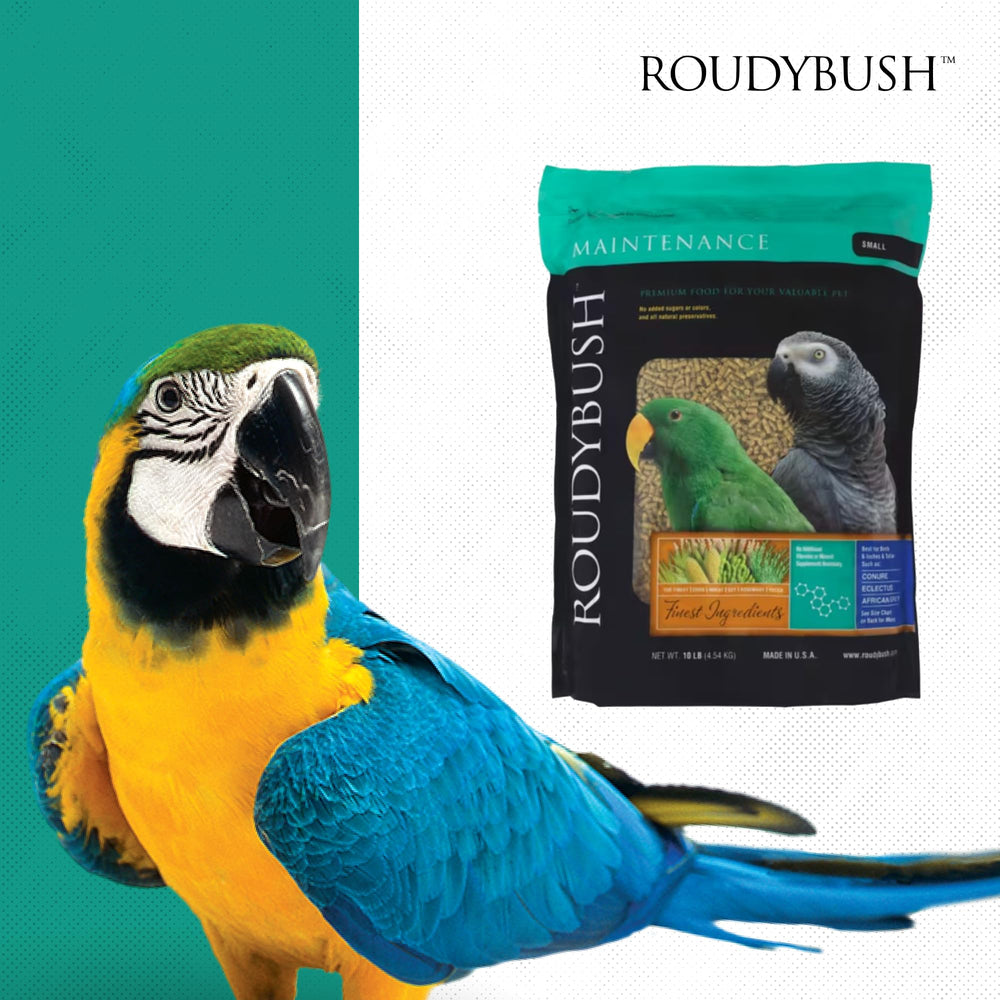 Roudybush dieta estructurada para aves pequeñas, hábitos alimenticios.