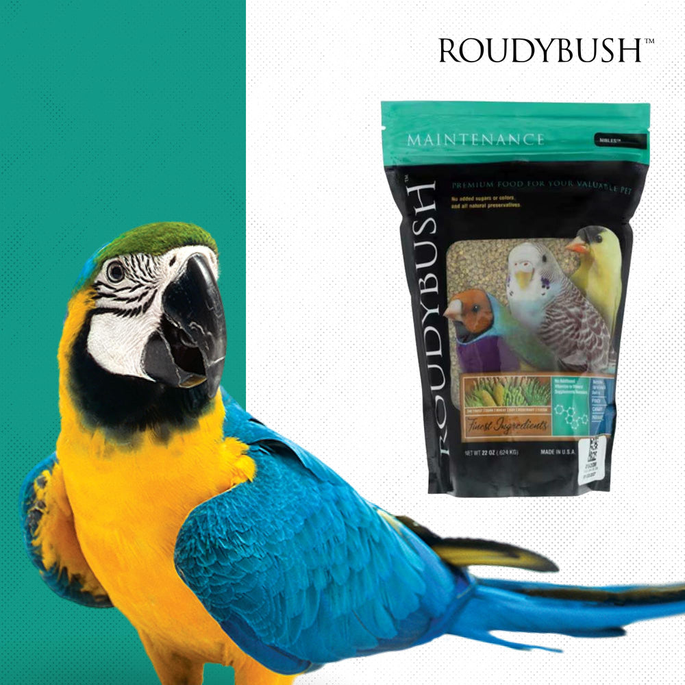 Roudybush envase de 22 oz, práctico para la alimentación diaria.