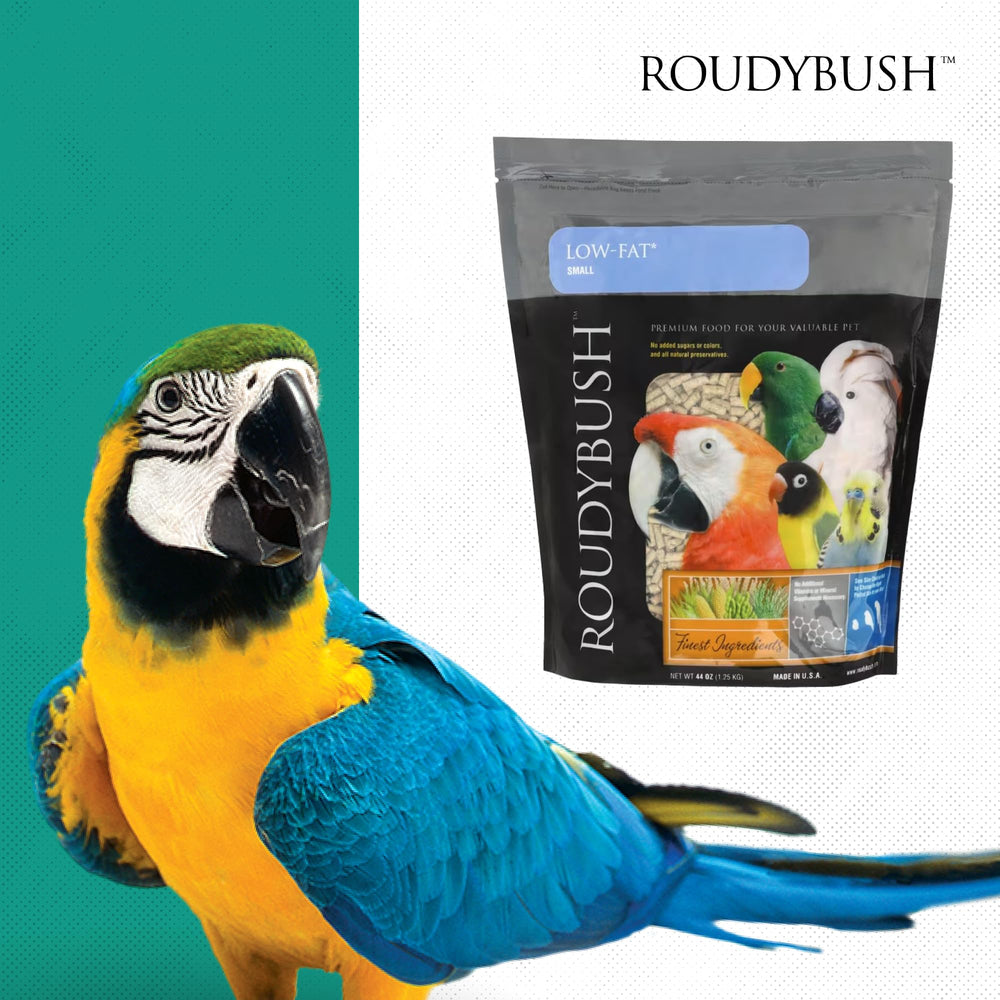 RoudyBush fácil de integrar en la rutina diaria de aves.