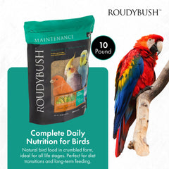 Pellets de RoudyBush para aves en cuenco, nutrición estable