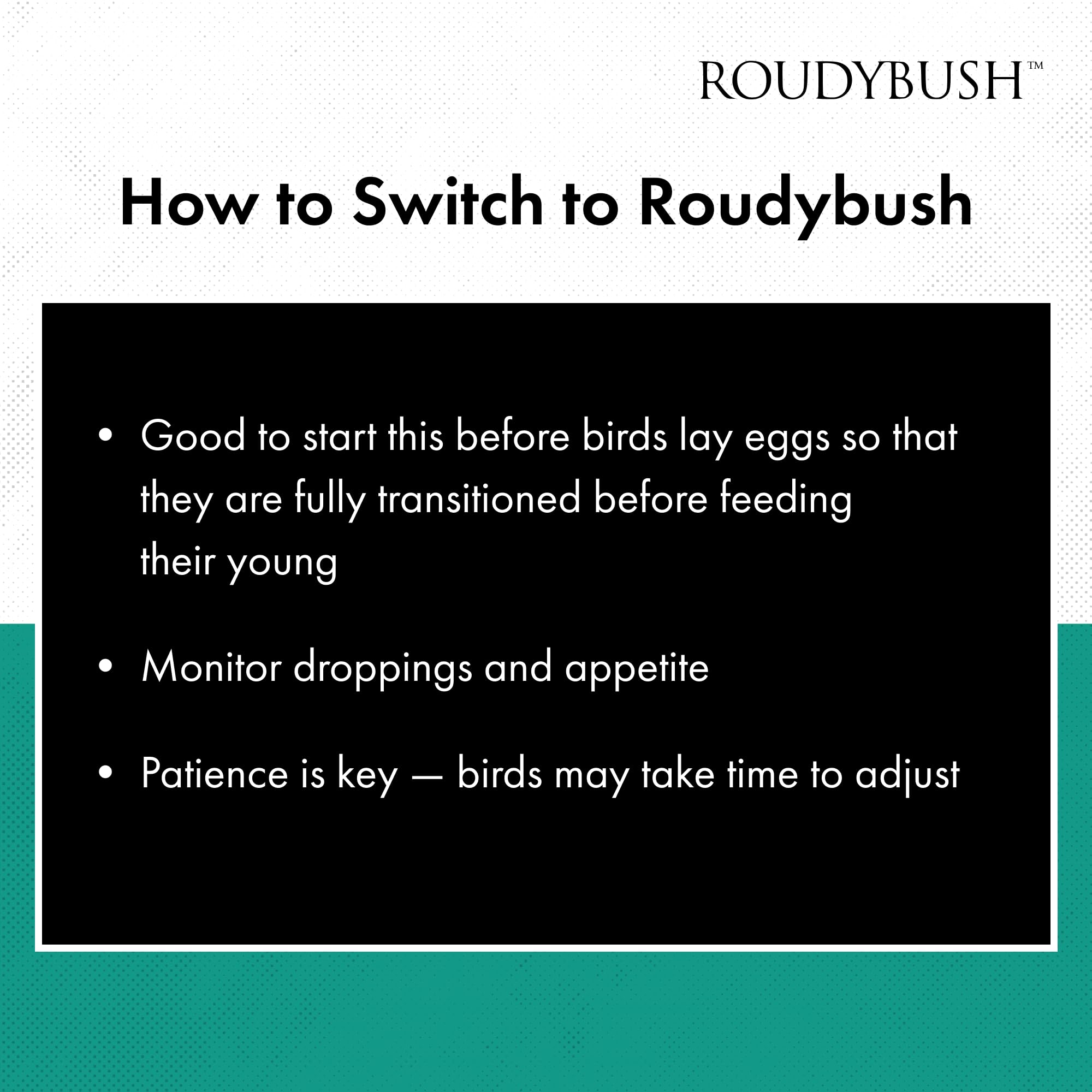 Roudybush sin colorantes, alimento apto para dietas diarias.