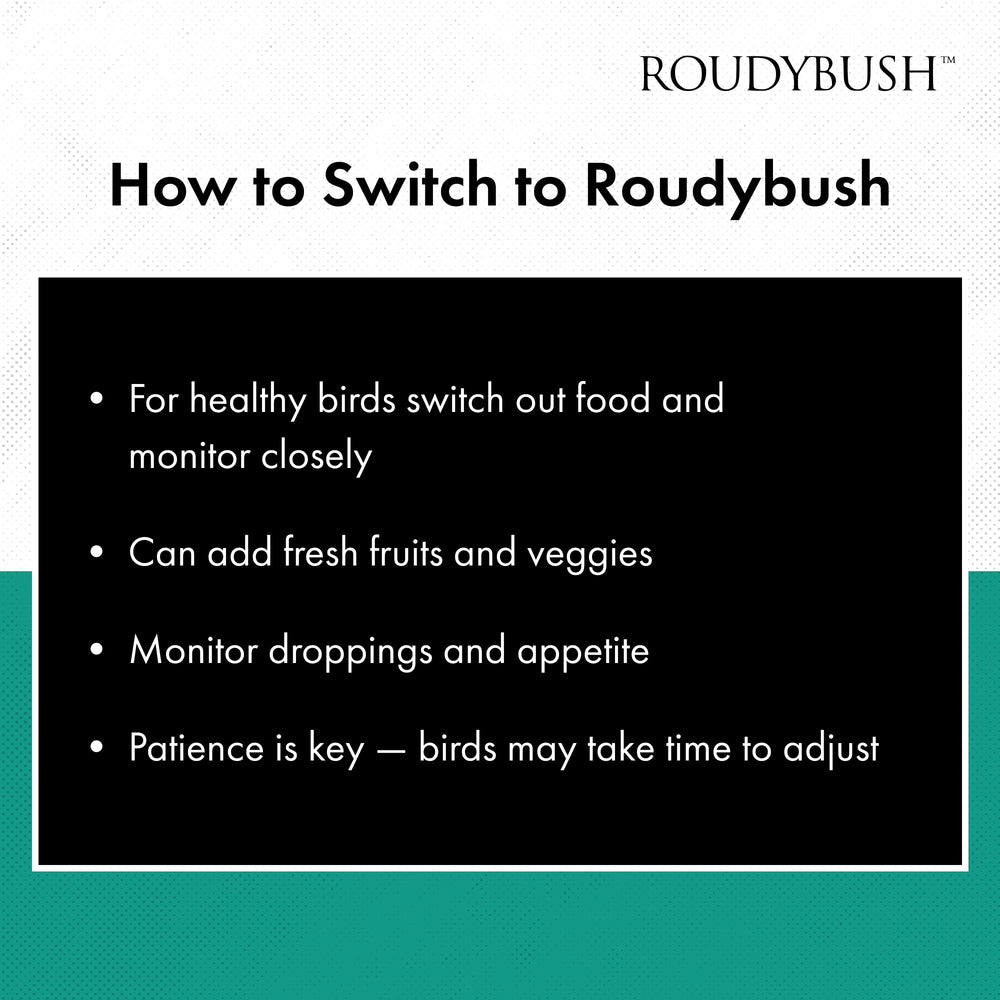 RoudyBush alimentación diaria para aves, uso fácil y estable.