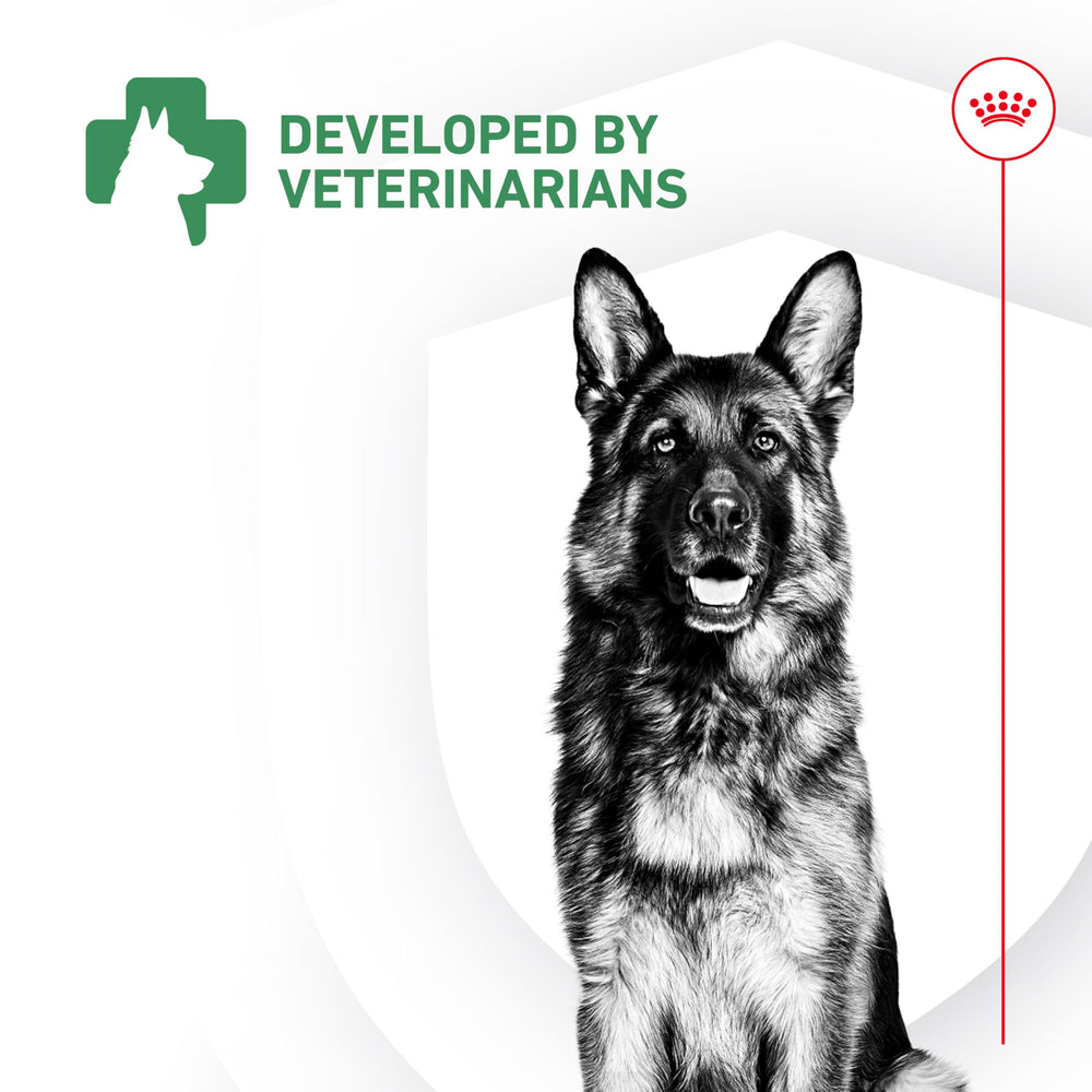Royal Canin Probióticos: enfoque en bienestar general e inmunidad intestinal.