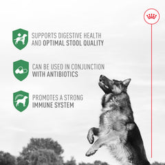 ROYAL CANIN Probióticos: etiqueta del producto con información y beneficios.