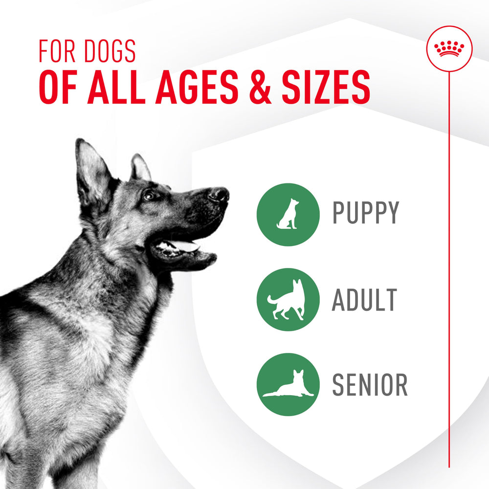 ROYAL CANIN Probióticos: frasco de probióticos listos para uso diario.
