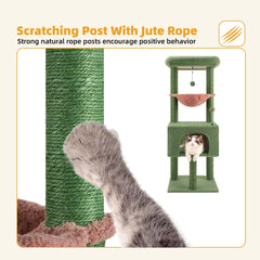 Roypet perchas-acolchadas-descanso-verde: superficies suaves para descansar.