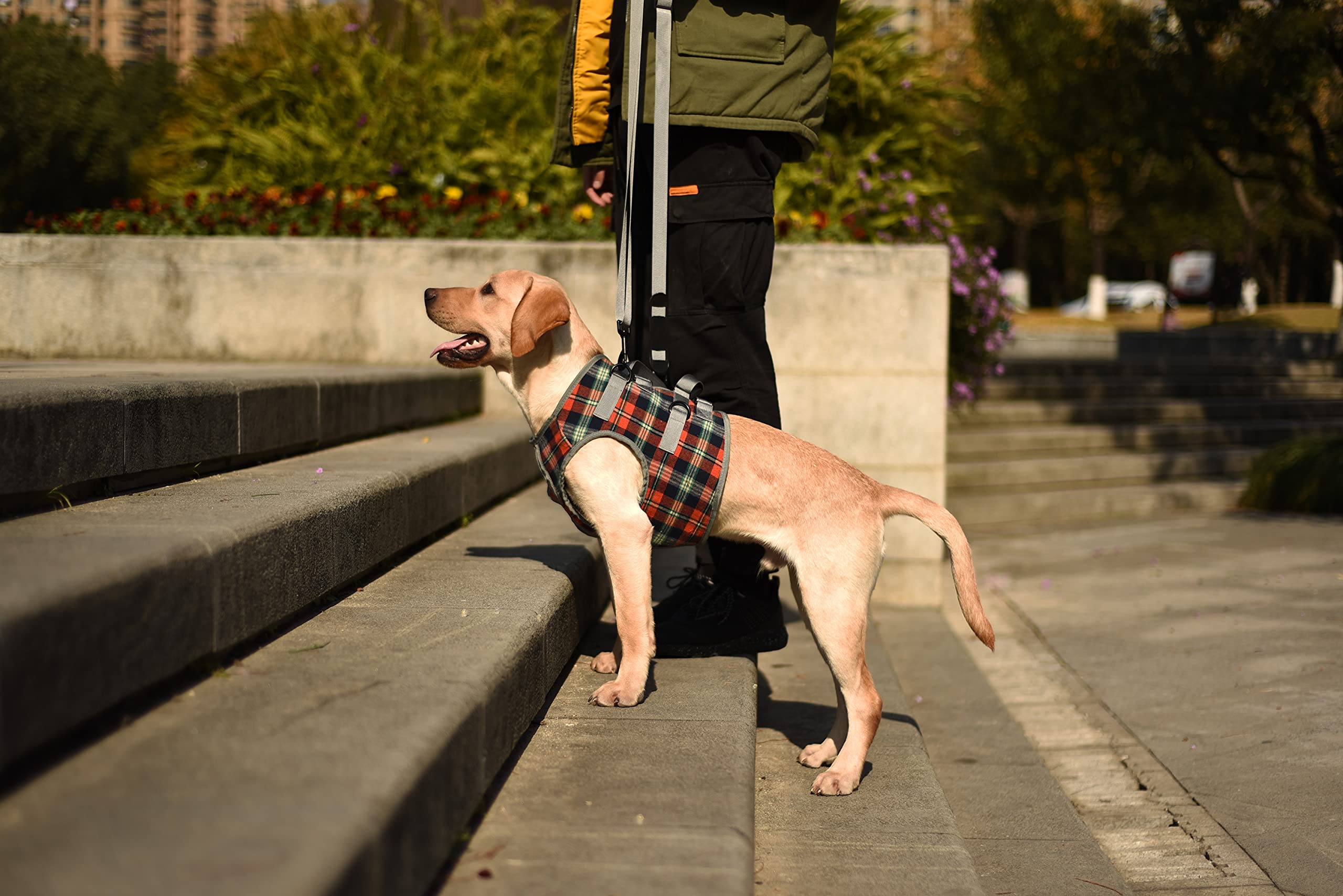 ROZKITCH ajuste correa perro: calibración simple para un ajuste perfecto.