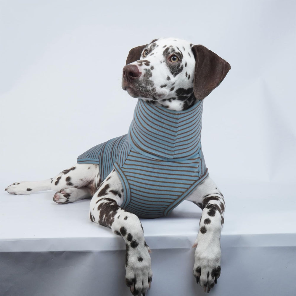 ROZKITCH chaleco peso para perro para uso en interiores y exteriores