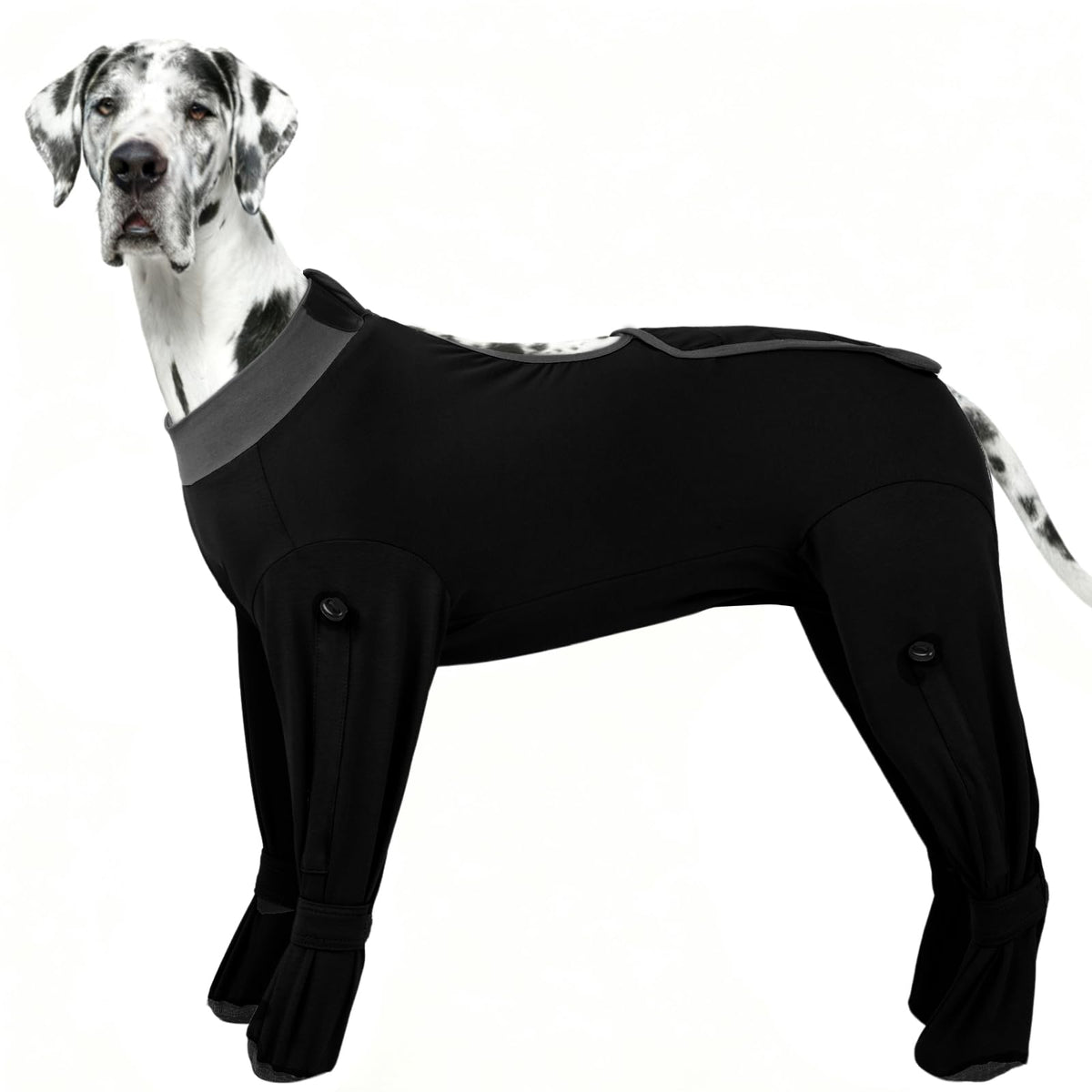 ROZKITCH Camiseta de recuperación para perro con cobertura total, protege heridas y reduce lamido.