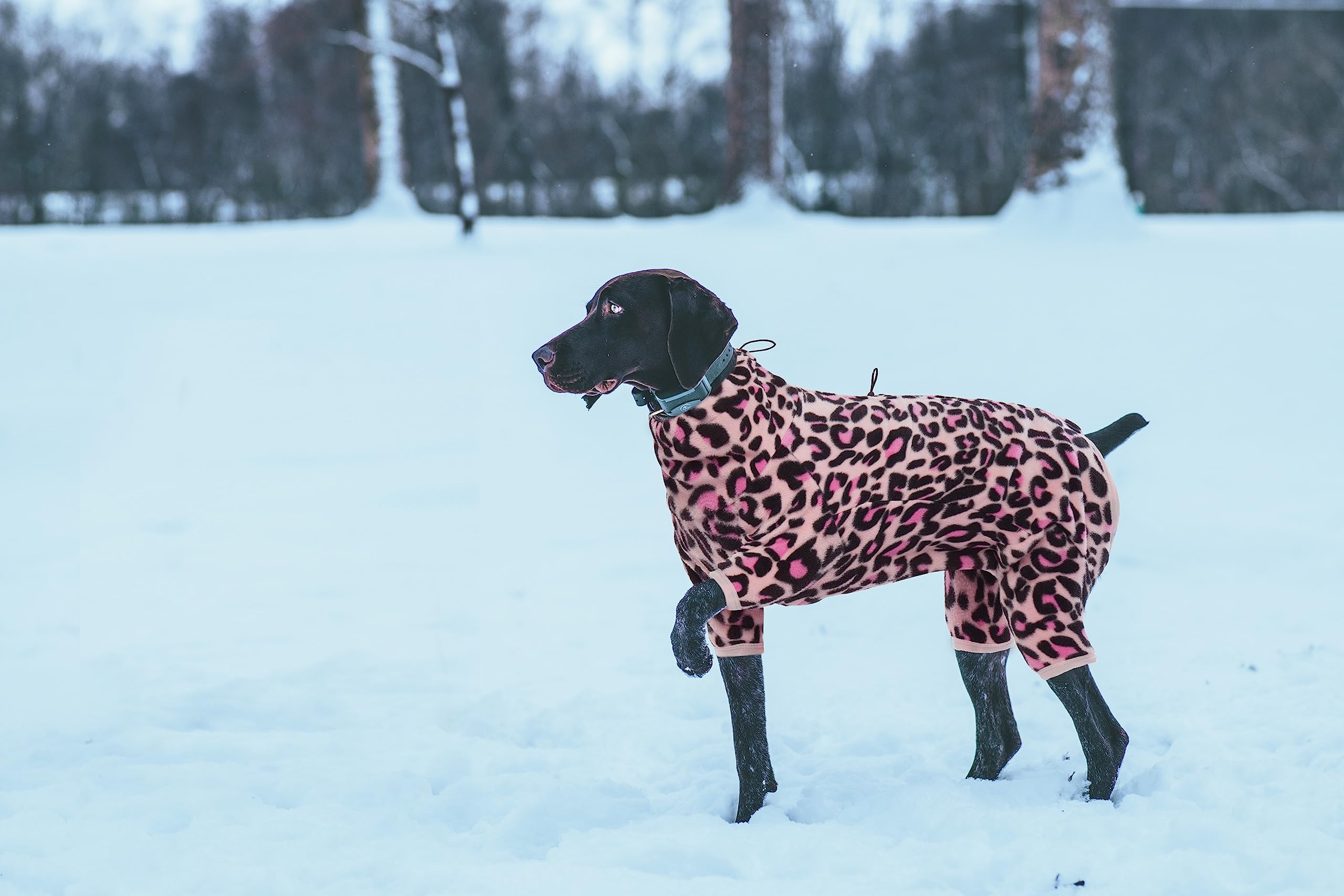 ROZKITCH forro-polar-transpirable, confort interior