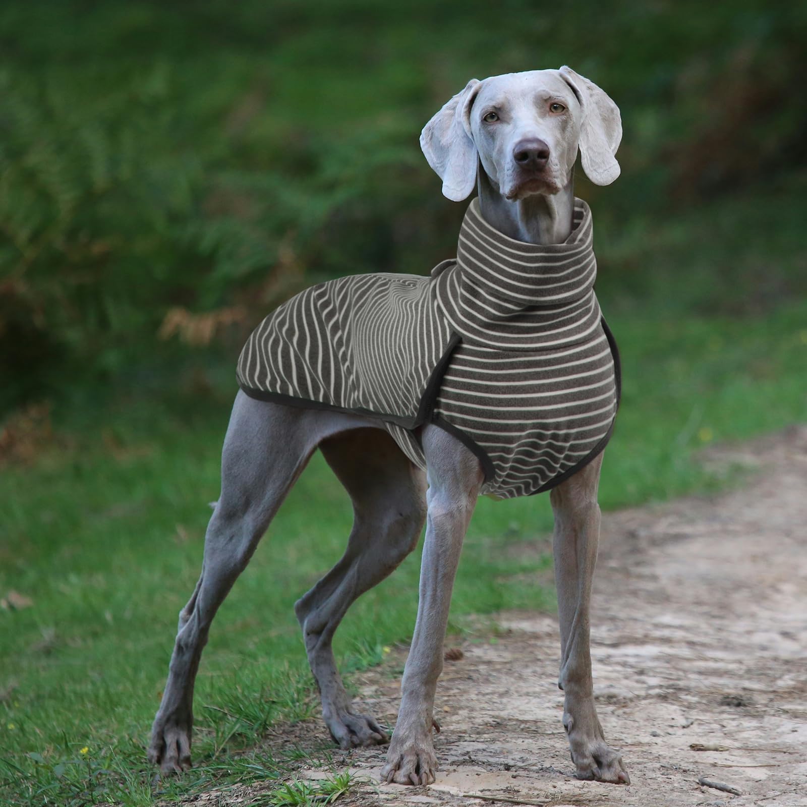 ROZKITCH prenda de invierno para paseos al aire libre, buena protección.