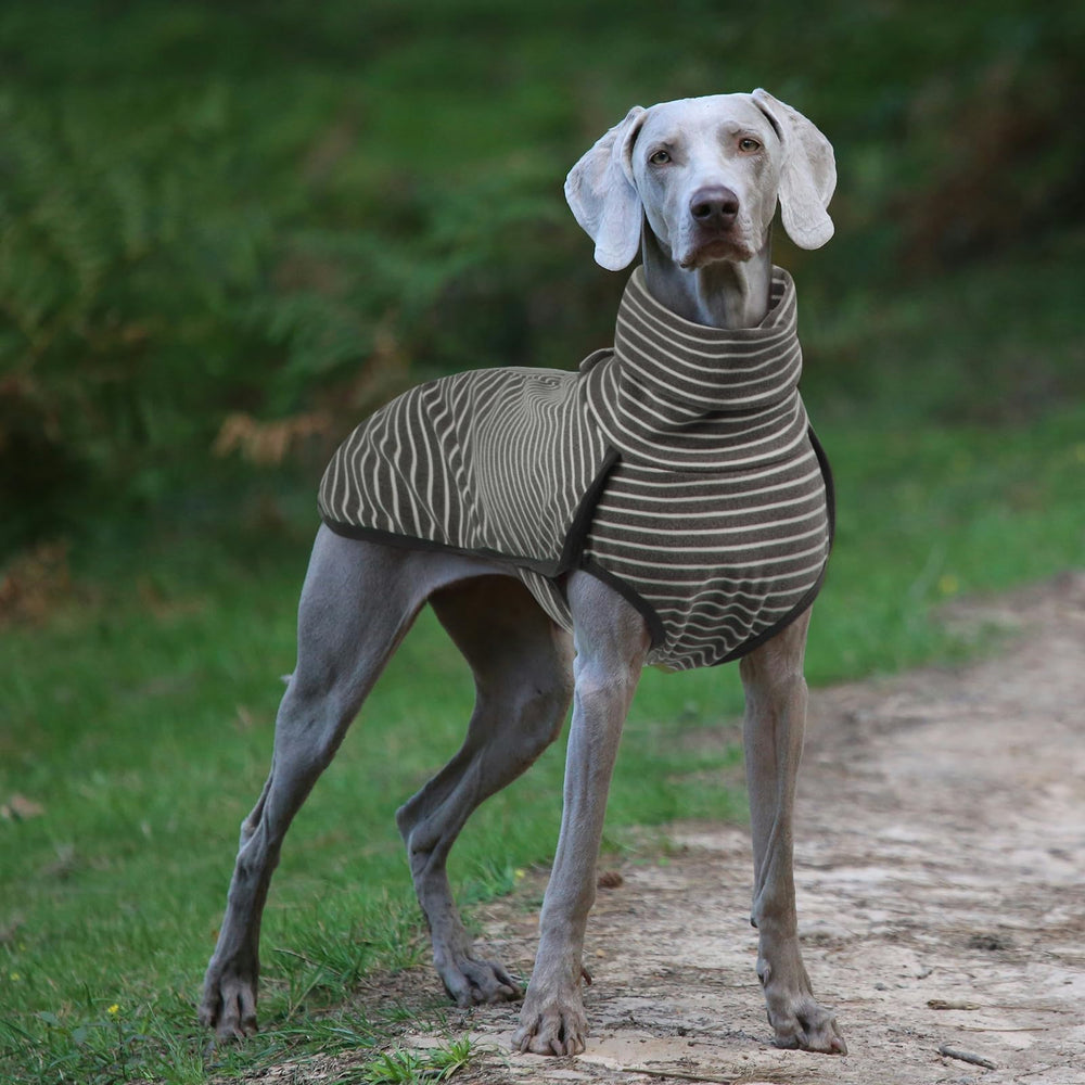 ROZKITCH prenda de invierno para paseos al aire libre, buena protección.