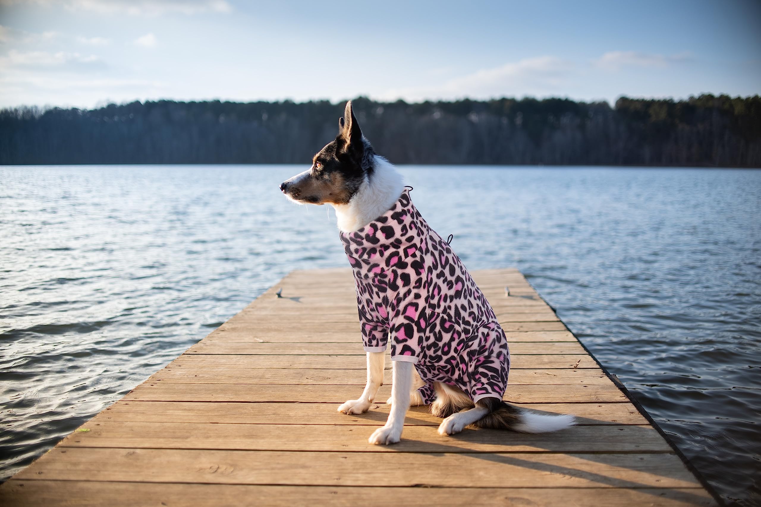 ROZKITCH Tallas 2XS-4XL para perros de distintos tamaños.