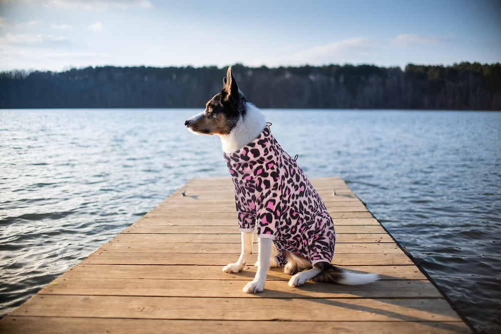 ROZKITCH Tallas 2XS-4XL para perros de distintos tamaños.