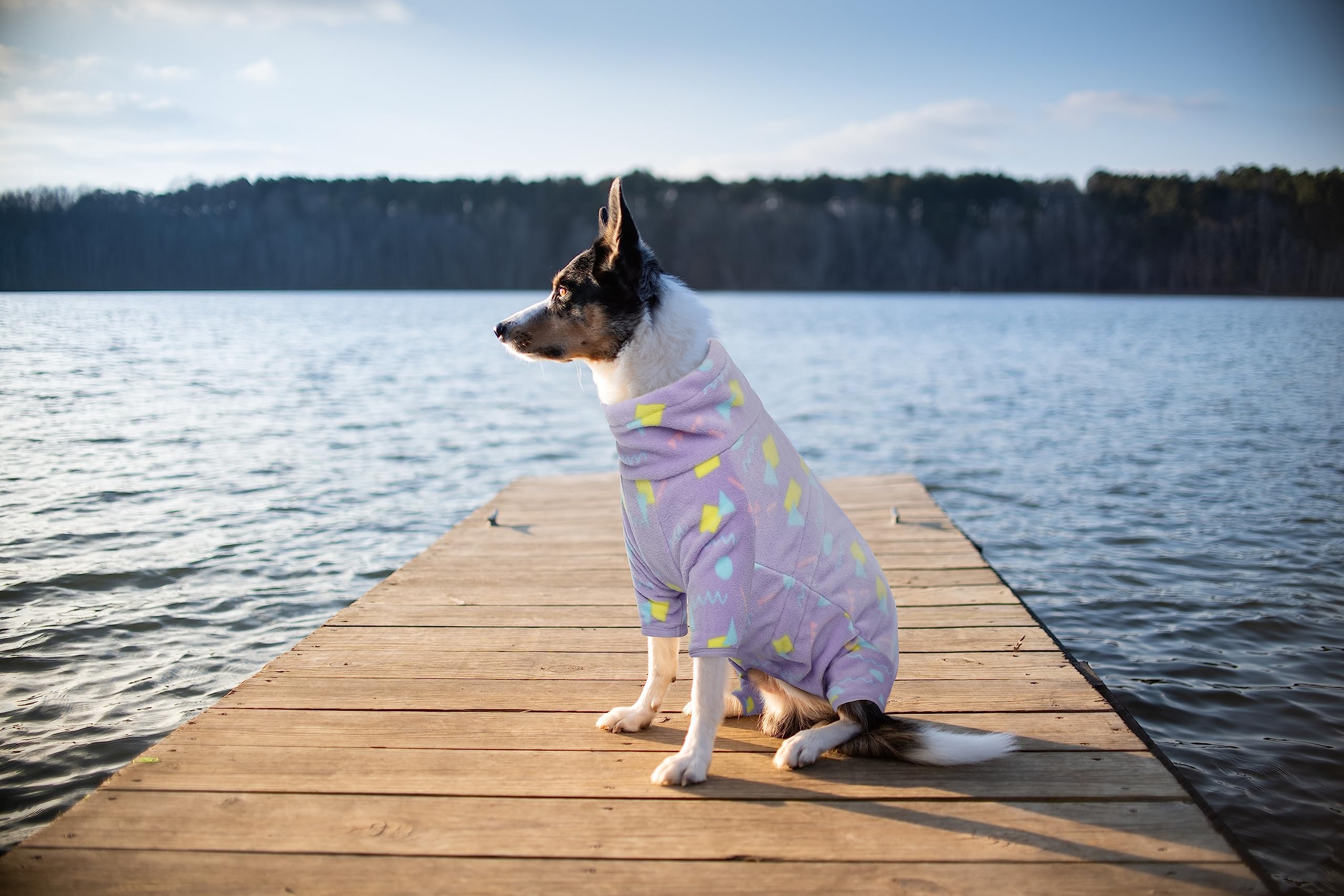 ROZKITCH disponible en tallas 3XL para perros grandes.
