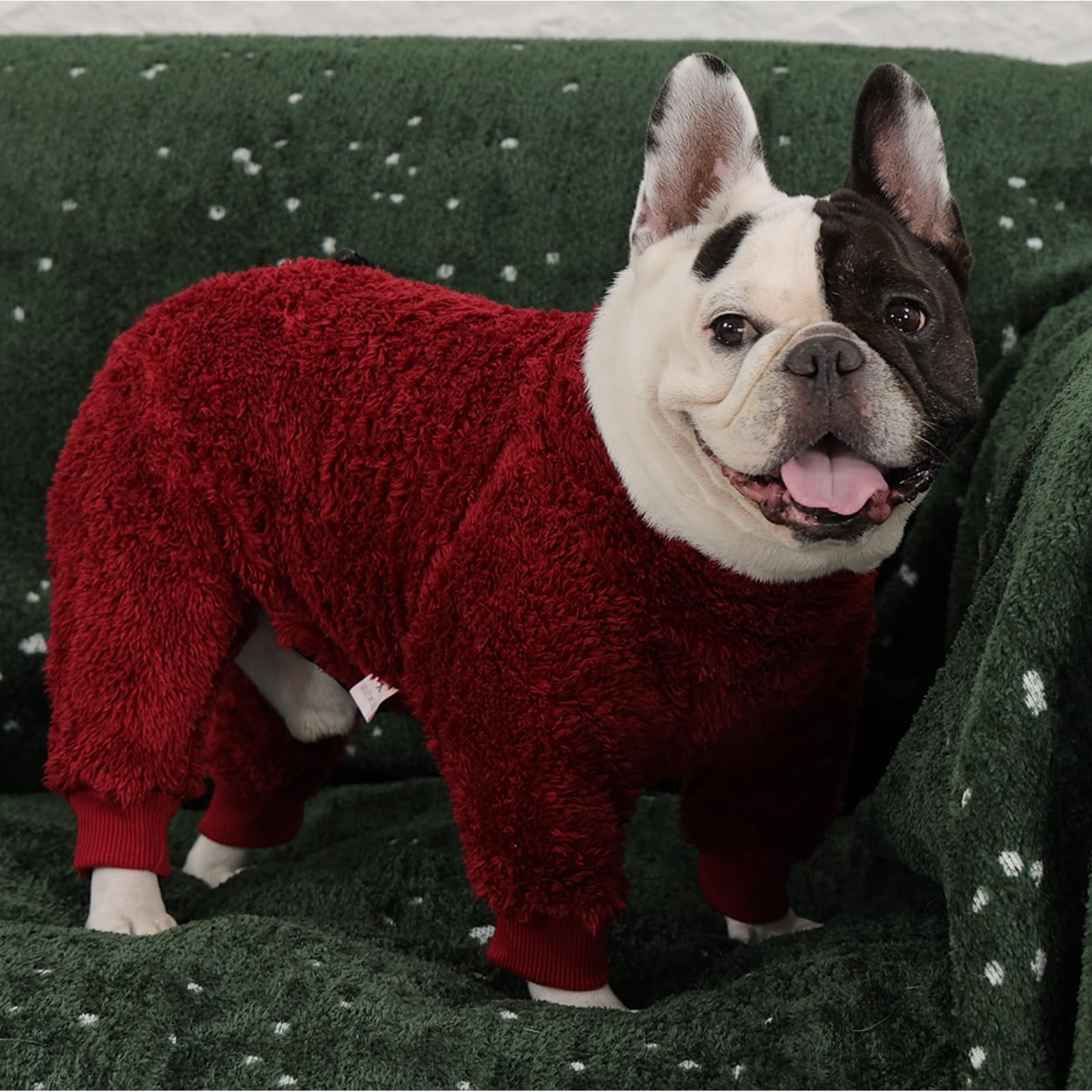 ROZKITCH pijama modelo para Dobermann XXL, fácil de poner y quitar