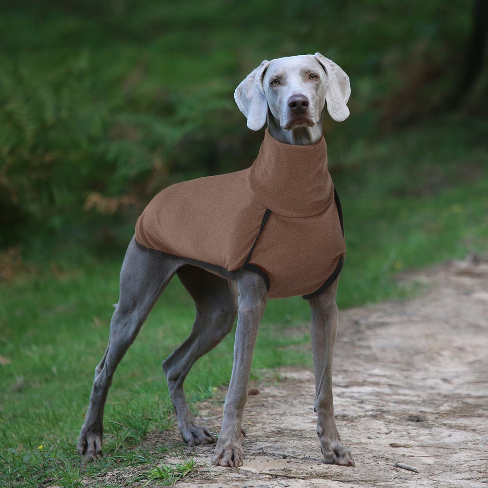 ROZKITCH: ocho tallas disponibles para perros pequeños a grandes